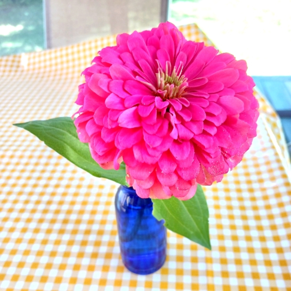 Vintage vintage vintage!